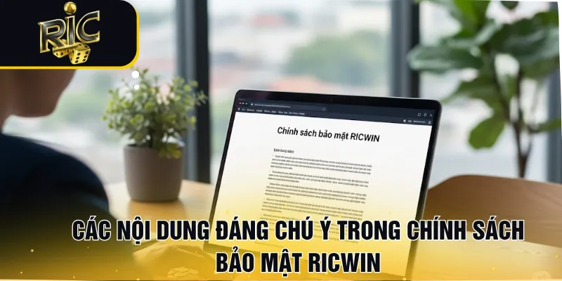 Các nội dung đáng chú ý trong Chính sách bảo mật RICWIN