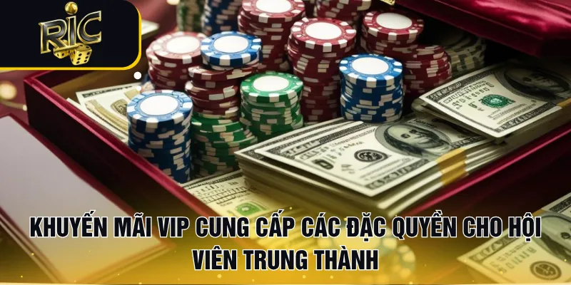 Khuyến mãi VIP cung cấp các đặc quyền cho hội viên trung thành