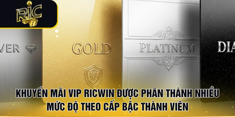 Khuyến mãi VIP RICWIN được phân thành nhiều mức độ theo cấp bậc thành viên