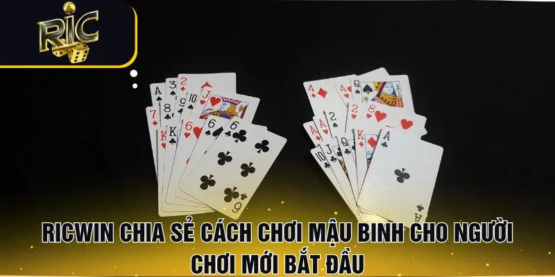RICWIN Chia Sẻ Cách Chơi Mậu Binh Cho Người Chơi Mới Bắt Đầu